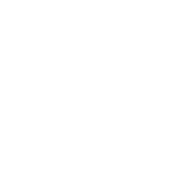 FeDI srl